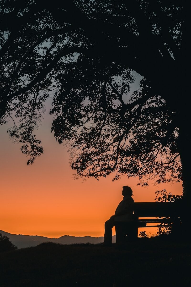 silhouette of man sitting on bench during sunset