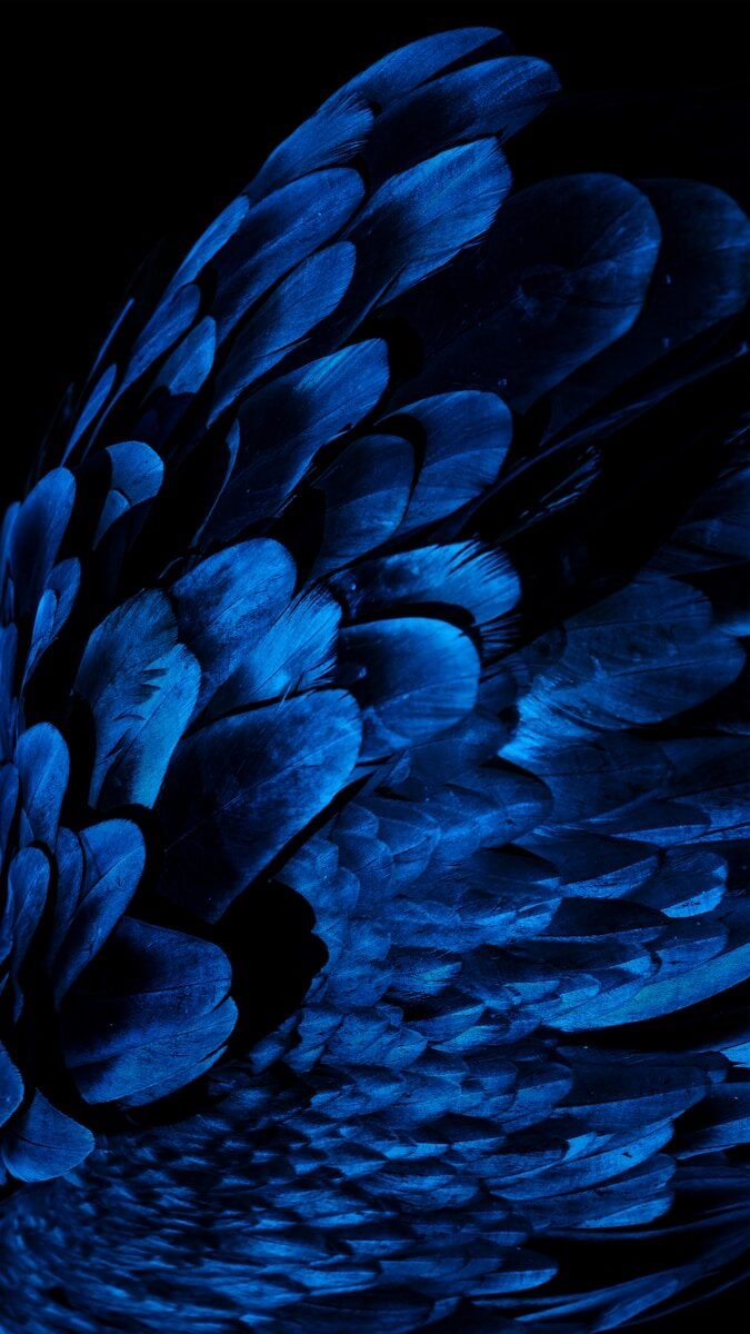 blue and black abstract painting